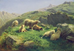 Moutons paissant dans les Pyrénées